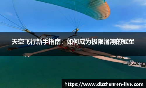 DB真人视讯
