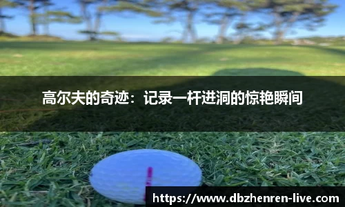 DB真人视讯官网